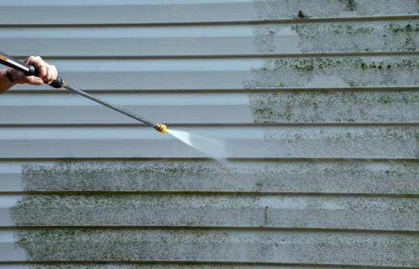 Best Local Mold Removal Service  in Green Park, MO