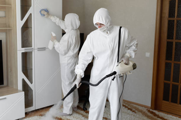 Professional Mold Removal in Green Park, MO